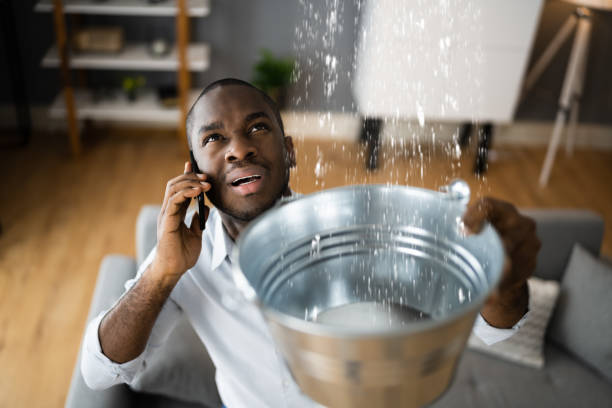 Best Water damage restoration near me  in Elmwood, IL