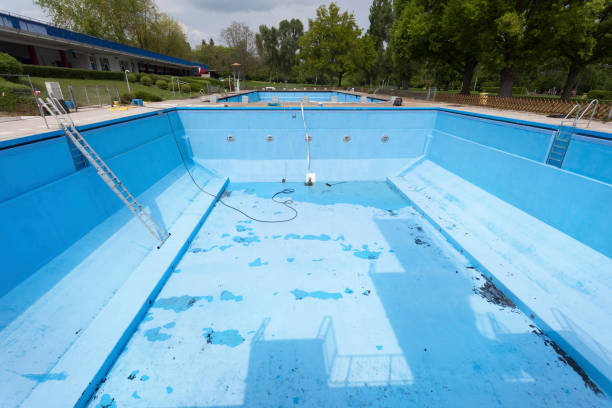Best Basement water damage restoration  in Elmwood, IL