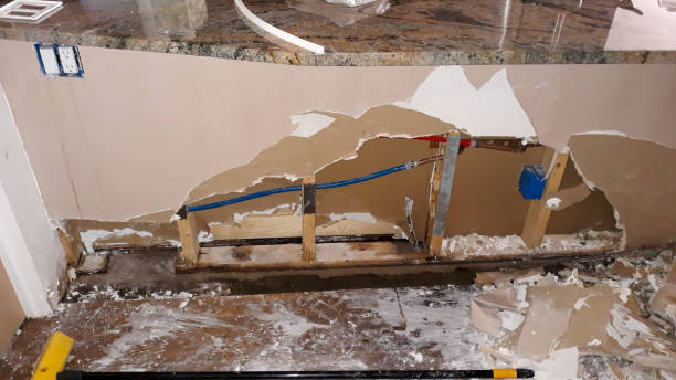 Best 24-hour water damage restoration  in Elmwood, IL