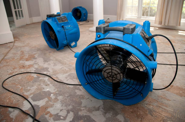  Elmwood, IL Water damage restoration Pros