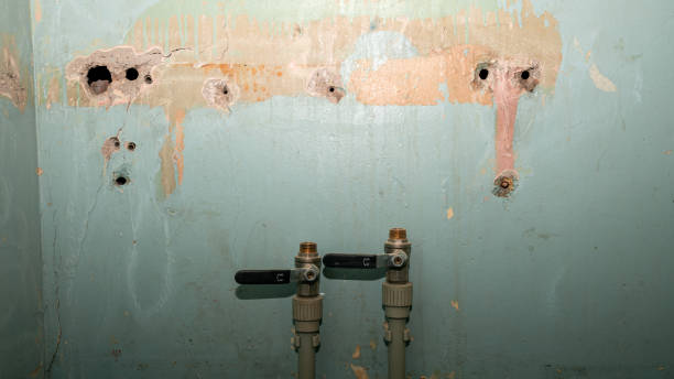 Best Water damage restoration specialists  in Elmwood, IL